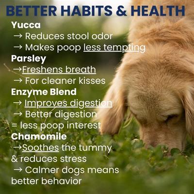 Poop Eating Deterrent - Coprophagia Chew For Dogs - 60 Soft Chews