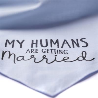 Getting Married Blue Dog Bandana