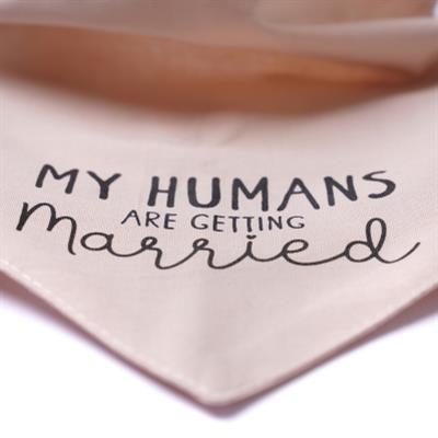 Getting Married Pink Dog Bandana
