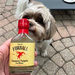 Extra Product Image