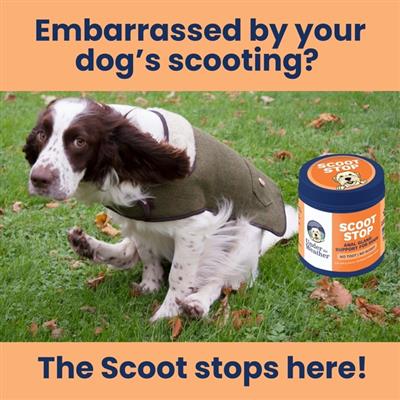 Scoot Stop Soft Chews for Dogs - 60 Count