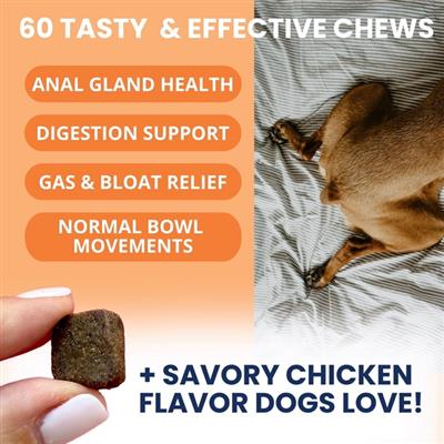 Scoot Stop Soft Chews for Dogs - 60 Count