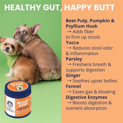 Scoot Stop Soft Chews for Dogs - 60 Count