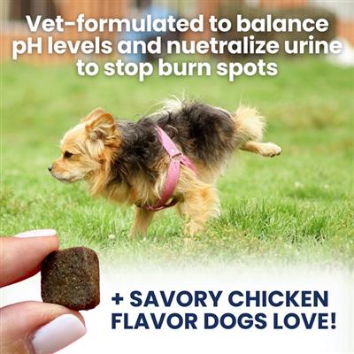 Nice Grass (Stops Yellow Patches) Soft Chews for Dogs