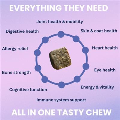 Multivitamin Daily Soft Chew For Dogs - 60 Count