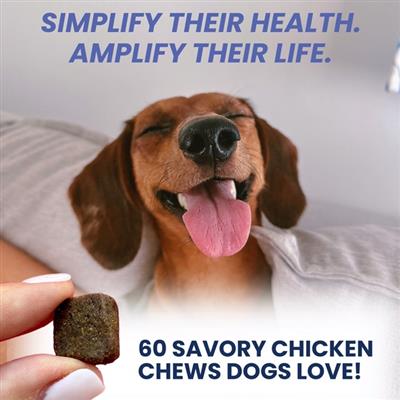 Multivitamin Daily Soft Chew For Dogs - 60 Count