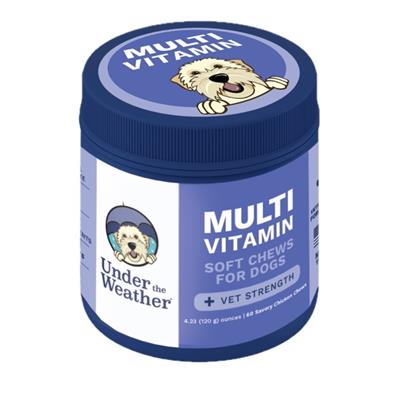 Multivitamin Daily Soft Chew For Dogs - 60 Count
