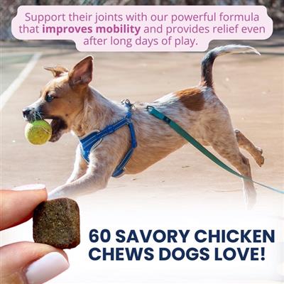 Hip & Joint Soft Chews for Dogs - 60 Count