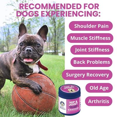 Hip & Joint Soft Chews for Dogs - 60 Count