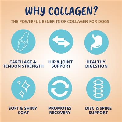 Collagen Chews for Dogs -