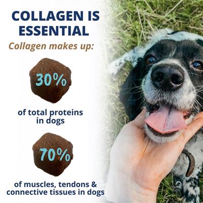 Collagen Chews for Dogs -