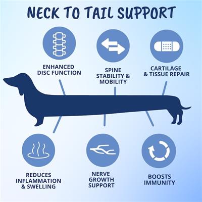 Disc & Spine Soft Chews for Dogs - IVDD Support - 60 Chews