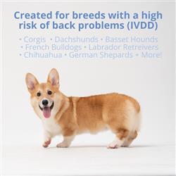 Extra Product Image