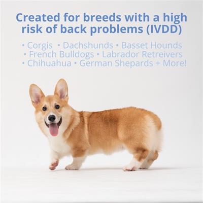 Disc & Spine Soft Chews for Dogs - IVDD Support - 60 Chews