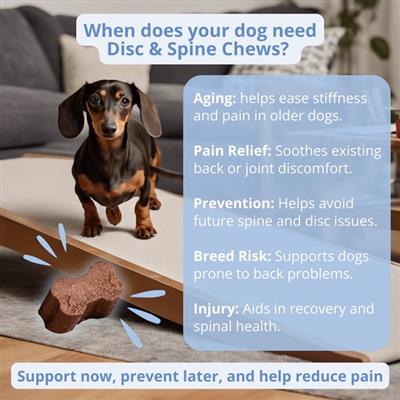 Disc & Spine Soft Chews for Dogs - IVDD Support - 60 Chews