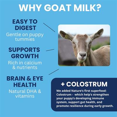 Goat Milk - Milk Replacer for Dogs & Puppies + Colostrum