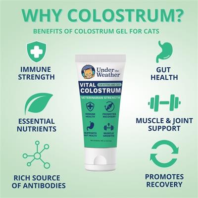 Vital Colostrum Gel for Cats & Kittens