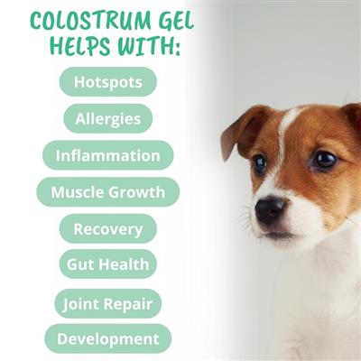 Colostrum gel for Dogs & Puppies