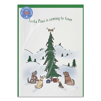 Poochie Post Holiday Edible Greeting Card Display& 24 Count Cards ISO