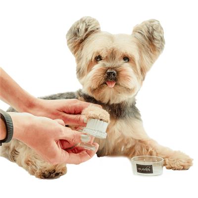 Black Face and Paw Brush by Dog Fashion Spa