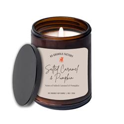 Pet Friendly SOY Candle, Odor Eliminator Hot Toddy 9oz