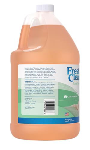 Fresh 'n Clean Scented Shampoo, Classic Fresh Scent RTU