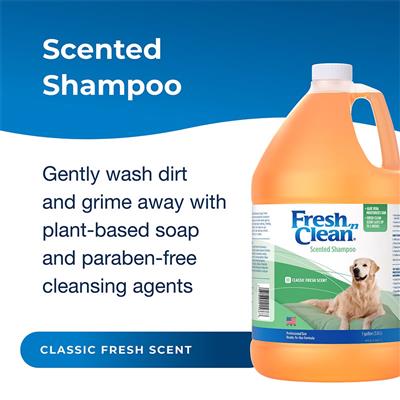 Fresh 'n Clean Scented Shampoo, Classic Fresh Scent RTU