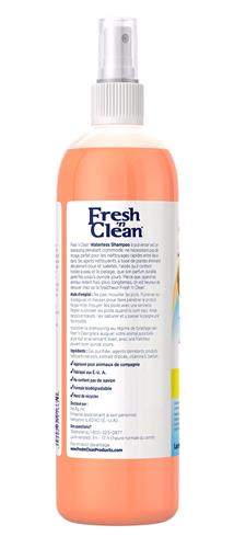 Fresh 'n Clean Waterless Shampoo Classic Fresh Scent, 12 oz.