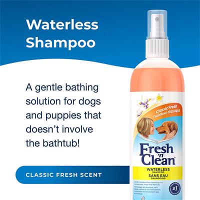 Fresh 'n Clean Waterless Shampoo Classic Fresh Scent, 12 oz.