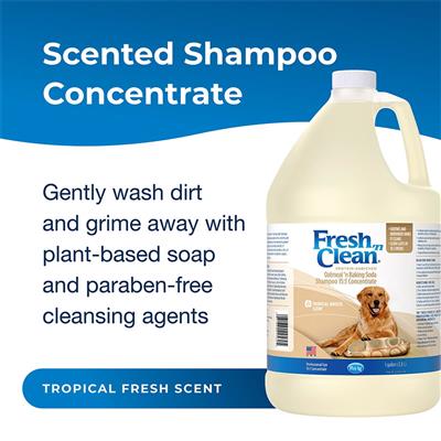Fresh 'n Clean Oatmeal ’n Baking Soda Shampoo 15:1 Concentrate, Tropical Breeze Scent