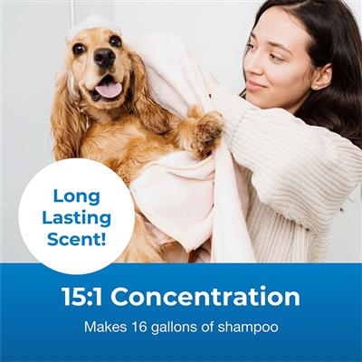 Fresh 'n Clean Scented Shampoo 15:1 Concentrate, Crisp Linen