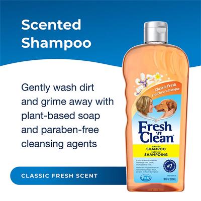 Fresh 'n Clean Scented Shampoo, Classic Fresh Scent, 18 oz.