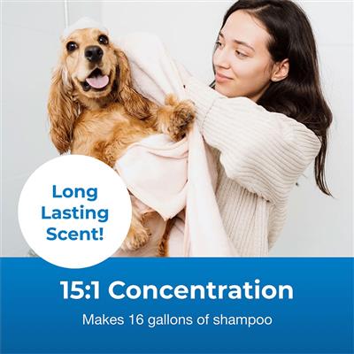 Fresh 'n Clean Moisturizing Shampoo 15:1 Concentrate, Classic Fresh Scent