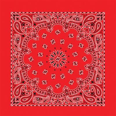 BANDANNA Paisley Red 12pk