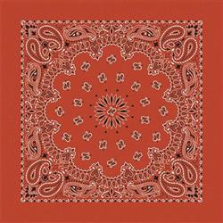 BANDANNA Paisley Terracotta 12pk