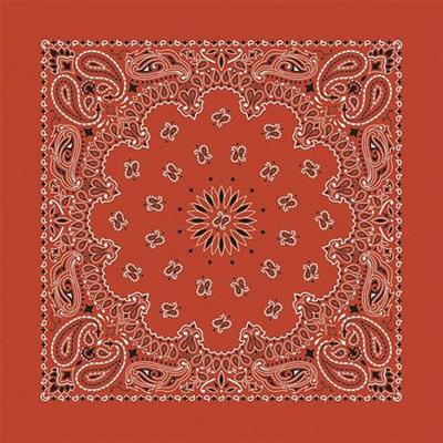 BANDANNA Paisley Terracotta 12pk