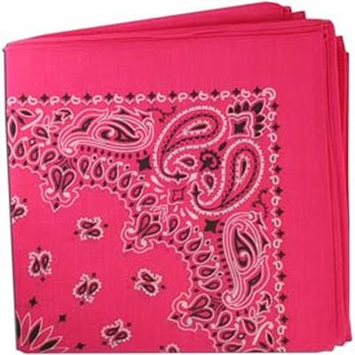 BANDANNA Paisley Hot Pink 12pk