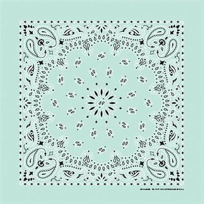 BANDANNA Paisley Mint 12pk