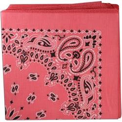 BANDANNA Paisley Strawberry 12pk