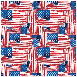 BANDANNA Painted Flag 12pk