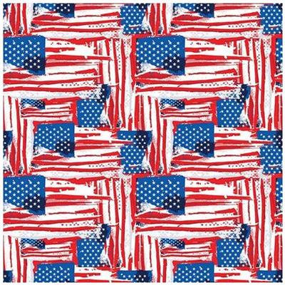 BANDANNA Painted Flag 12pk