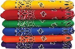 BANDANNA Paisley Asst Primary 12pk