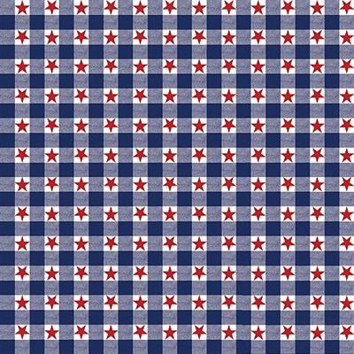 BANDANNA Patriotic Checkers 12pk