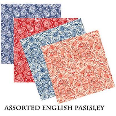 BANDANNA English & Prims Paisley Assorted 12pk
