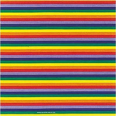 BANDANNA Freedom Rainbow 12pk