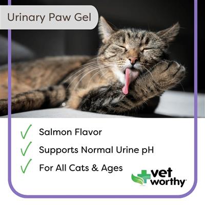 Vet Worthy - 3 oz Urinary Paw Gel Feline