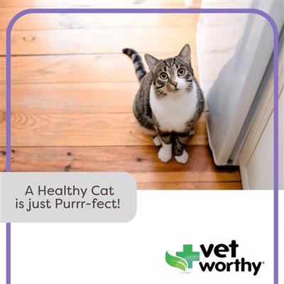 Vet Worthy - 3 oz Urinary Paw Gel Feline