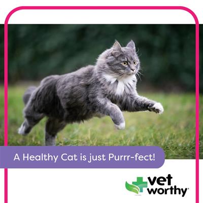 Vet Worthy - 3 oz Digestive Paw Gel Feline