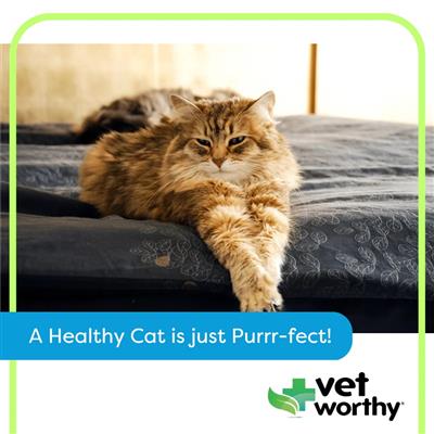 Vet Worthy - 3 oz Hip & Joint Paw Gel Feline