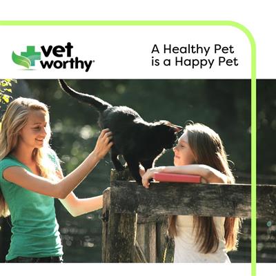 Vet Worthy - 3 oz Hip & Joint Paw Gel Feline